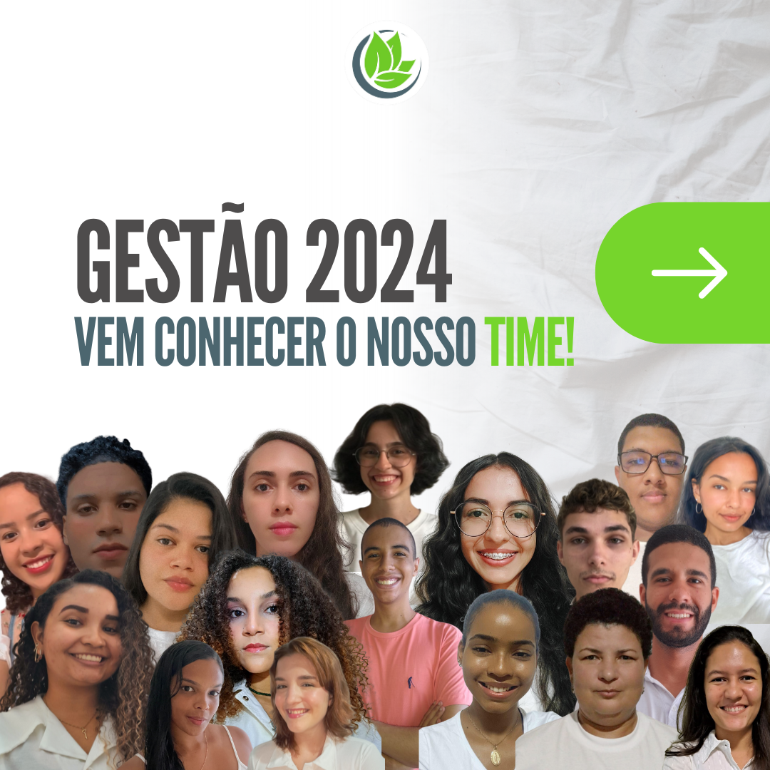 Gestão 2024.